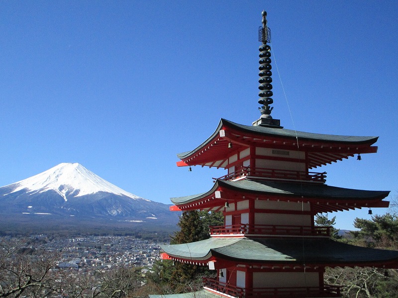 <"�V�q�R��Ԍ���"